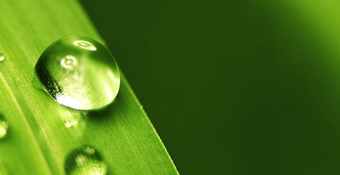 big water drop on grass blade